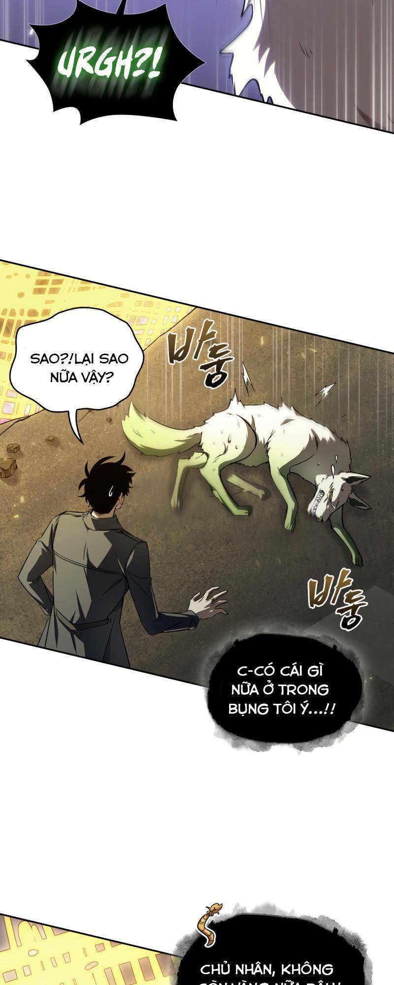 Vua Trộm Mộ