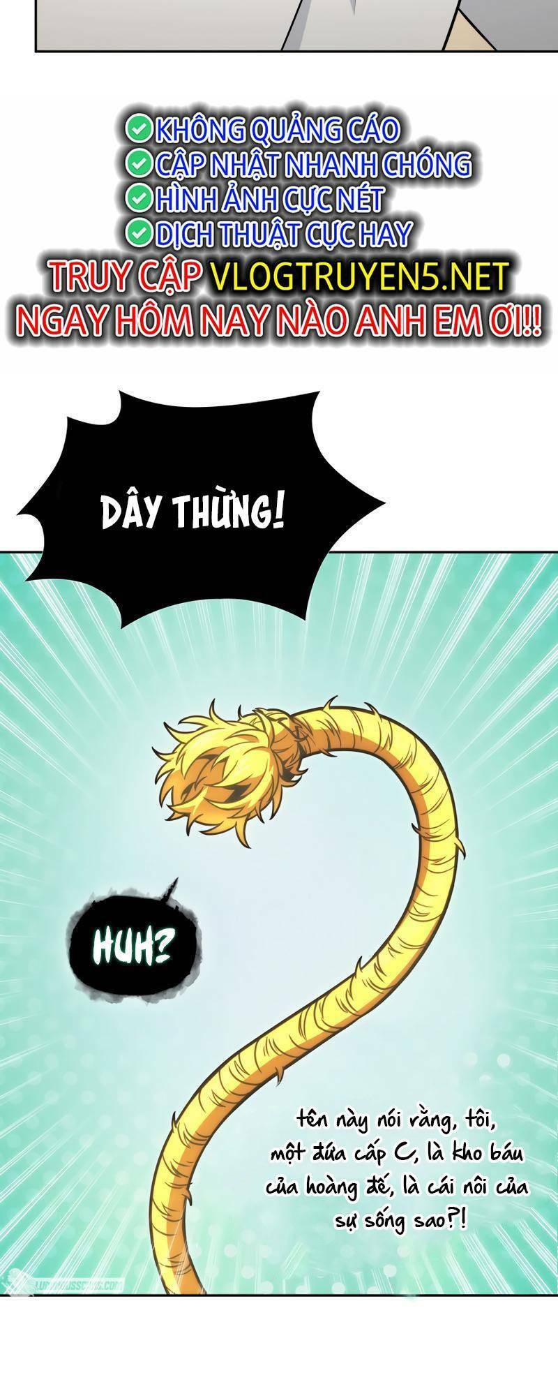 Vua Trộm Mộ