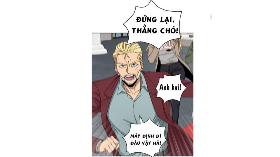 Vua Trộm Mộ