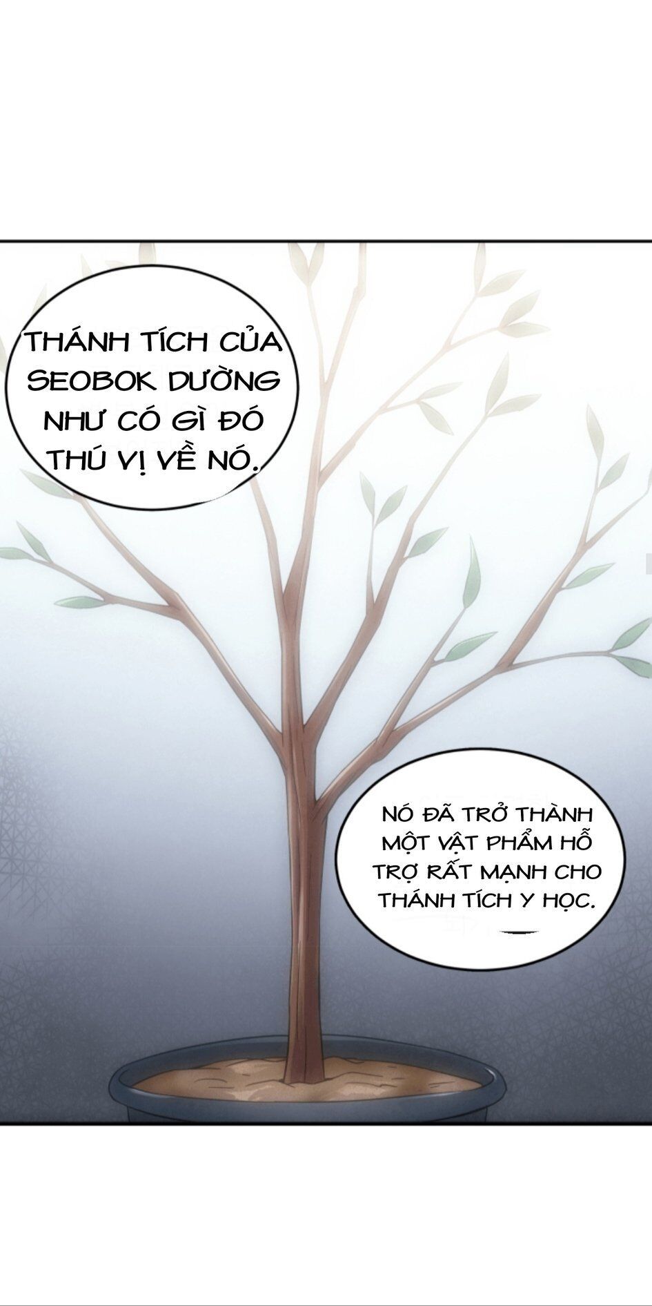 Vua Trộm Mộ