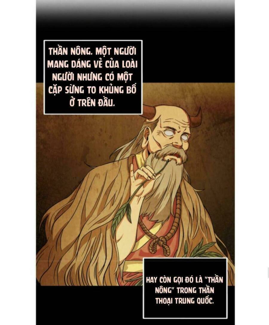 Vua Trộm Mộ