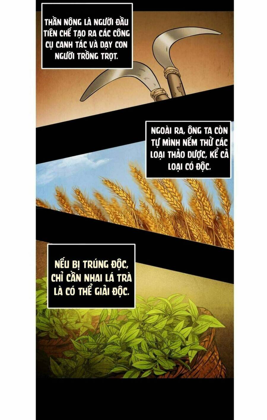 Vua Trộm Mộ