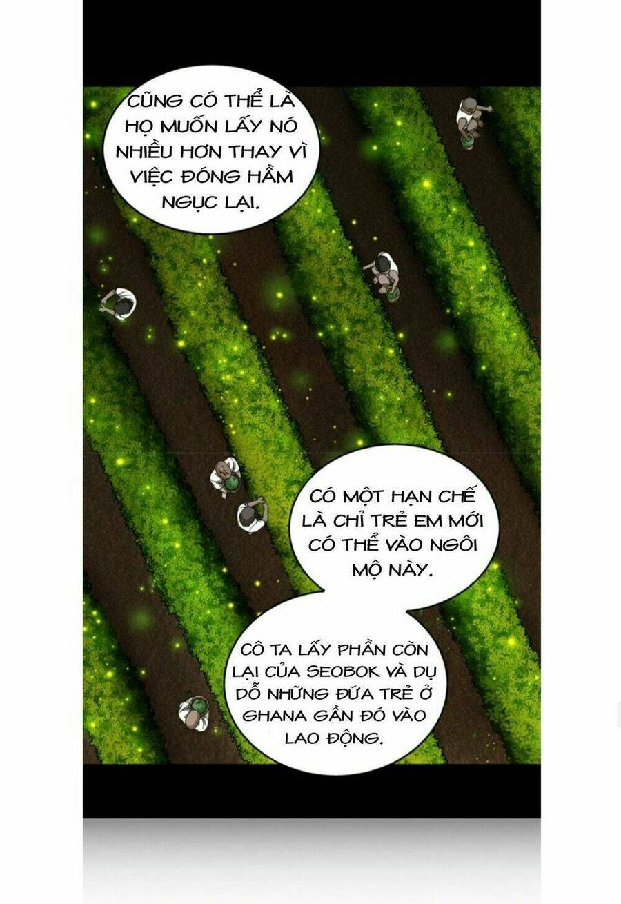 Vua Trộm Mộ