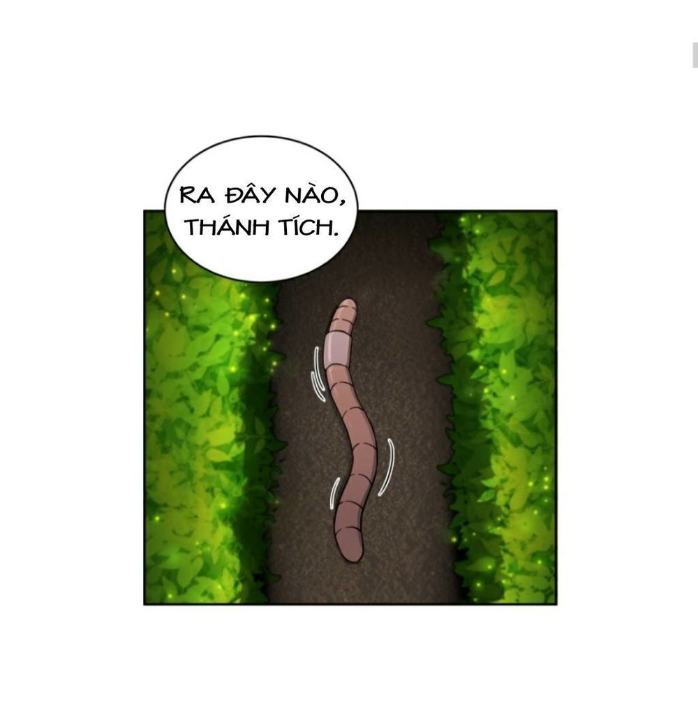 Vua Trộm Mộ