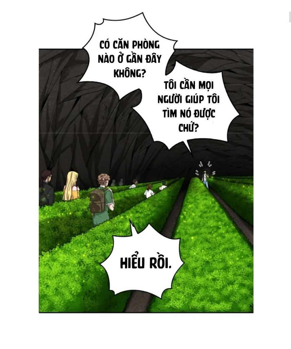 Vua Trộm Mộ