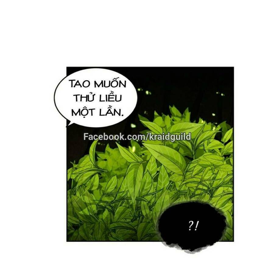 Vua Trộm Mộ