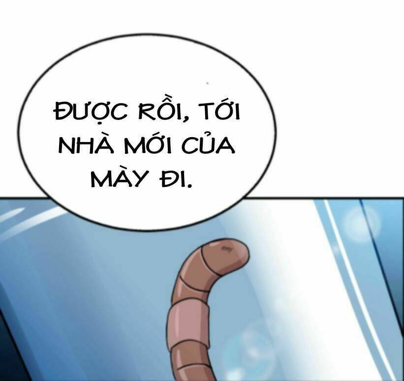 Vua Trộm Mộ