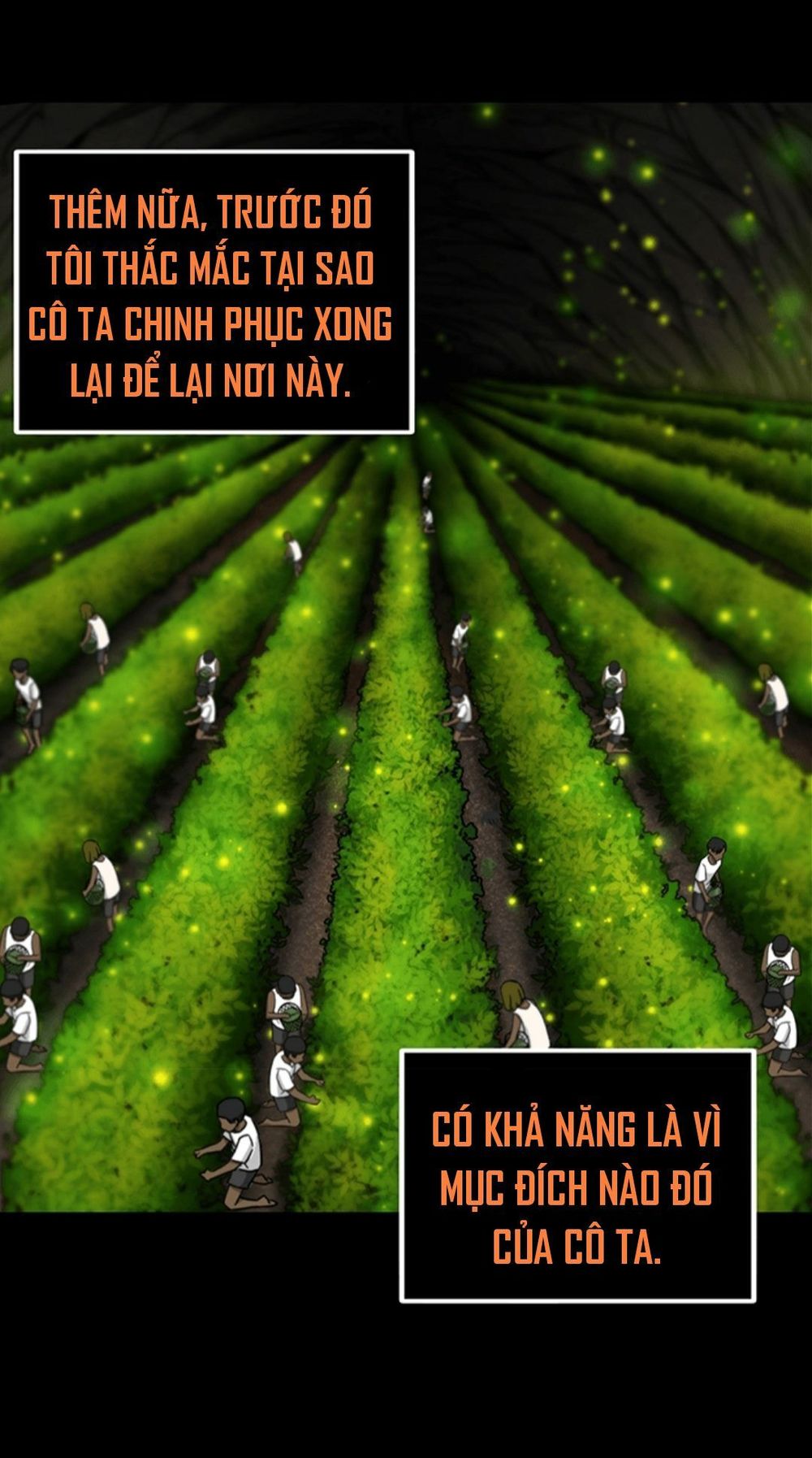 Vua Trộm Mộ