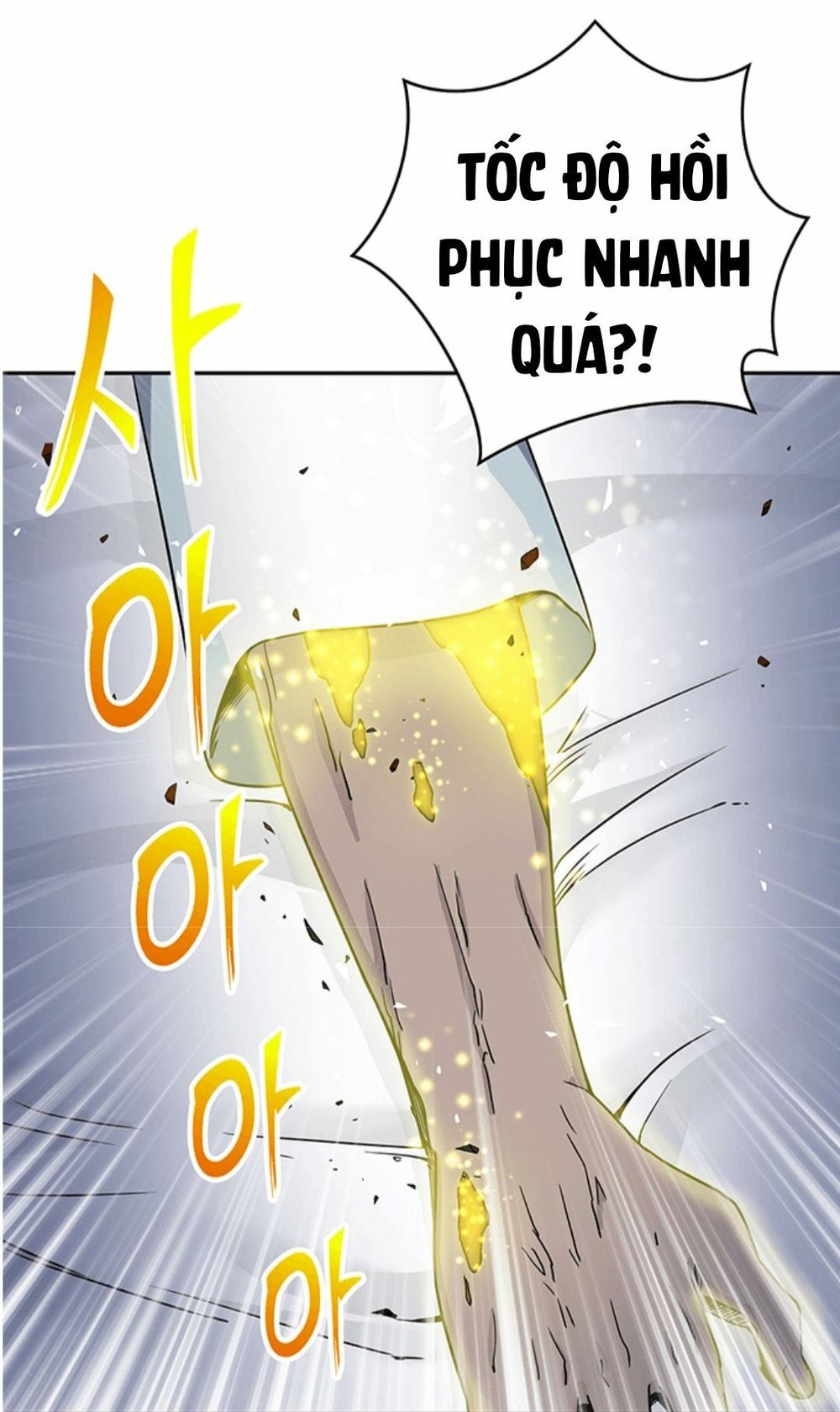 Vua Trộm Mộ