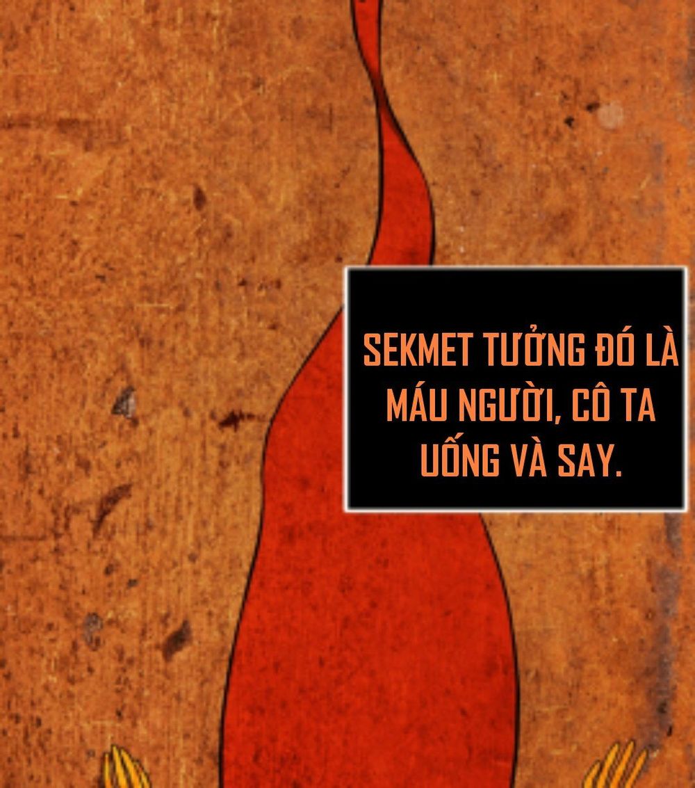 Vua Trộm Mộ