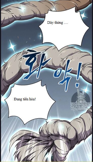 Vua Trộm Mộ