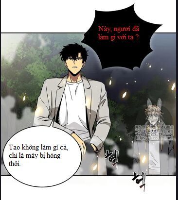 Vua Trộm Mộ
