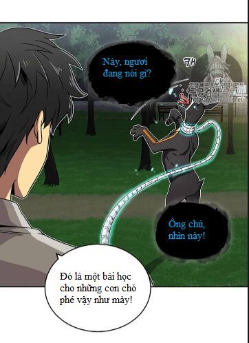 Vua Trộm Mộ