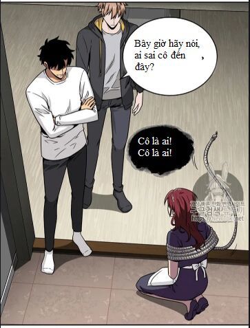 Vua Trộm Mộ