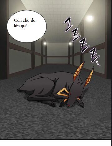 Vua Trộm Mộ