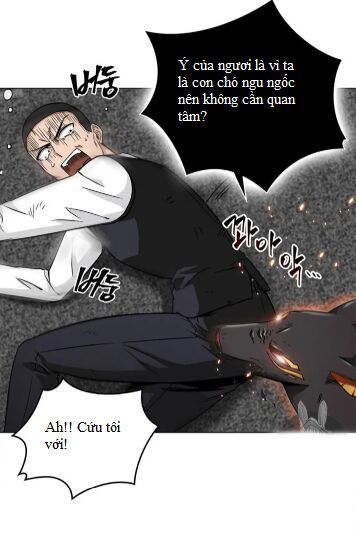 Vua Trộm Mộ