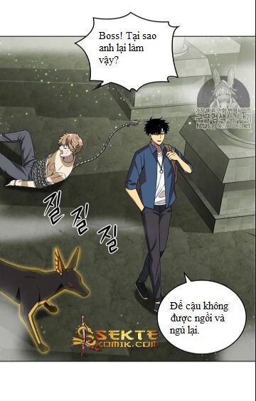 Vua Trộm Mộ