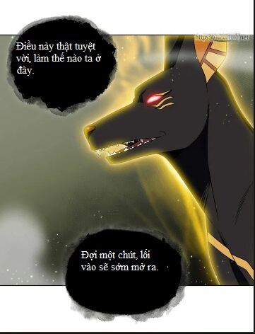 Vua Trộm Mộ