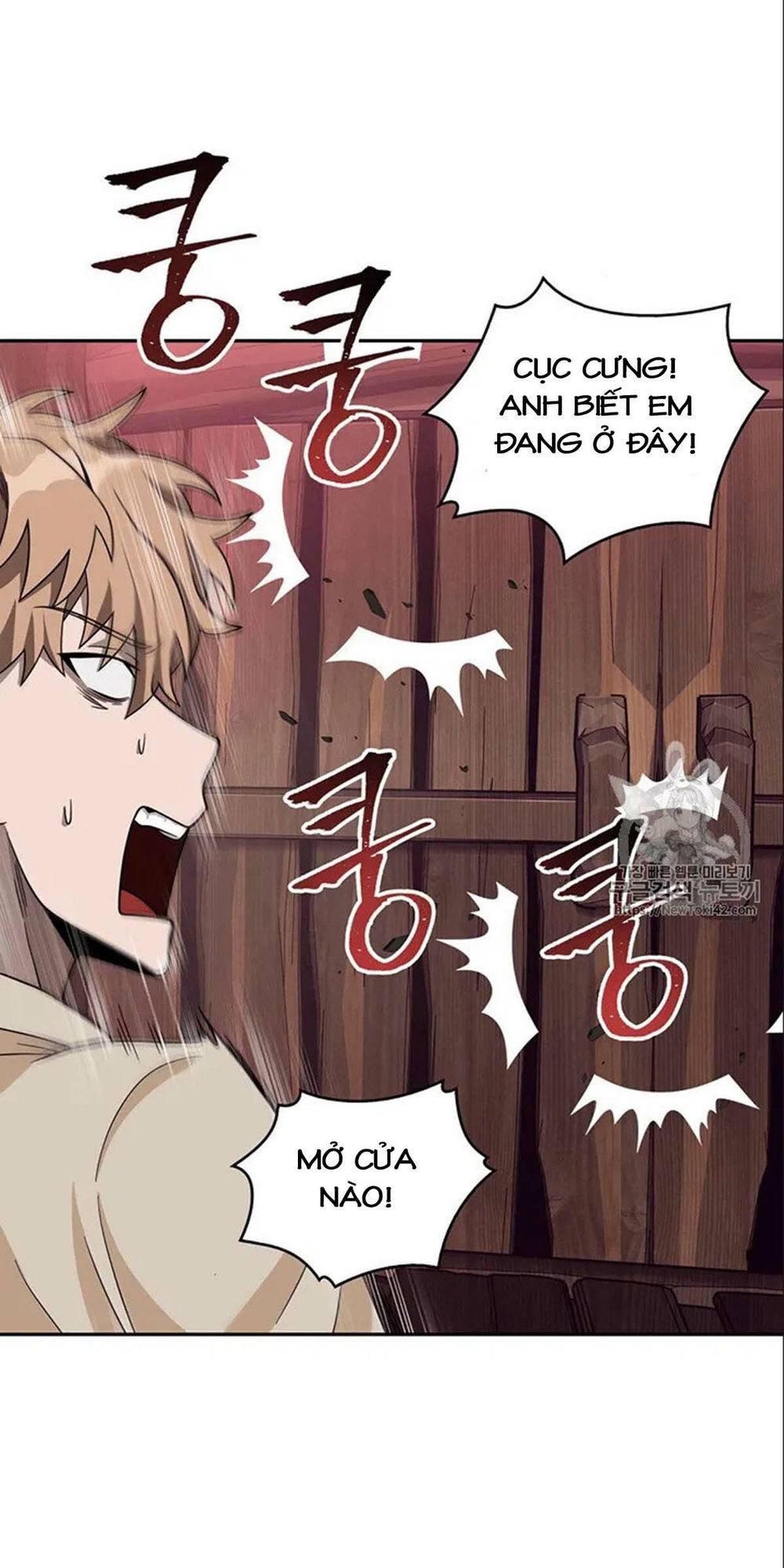 Vua Trộm Mộ
