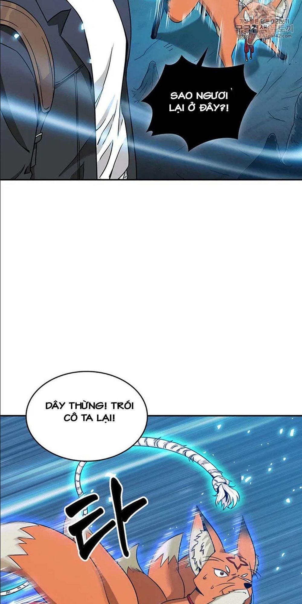 Vua Trộm Mộ