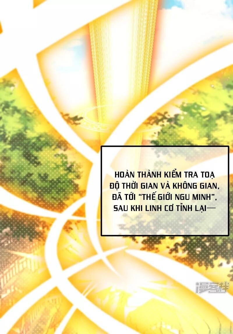 Hài Đế Vi Tôn