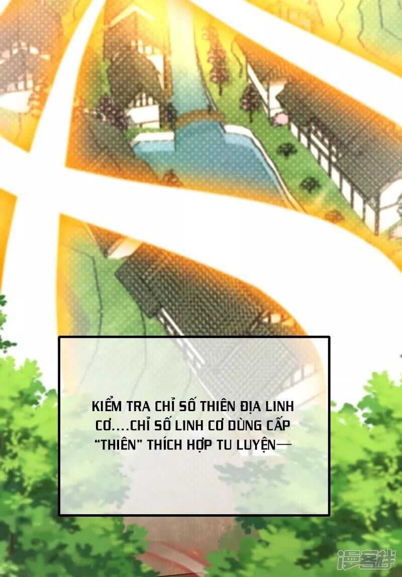 Hài Đế Vi Tôn