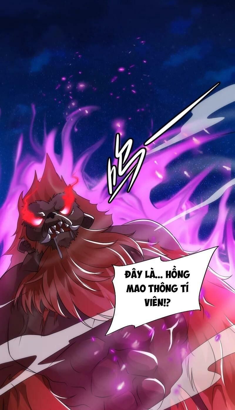 Hài Đế Vi Tôn