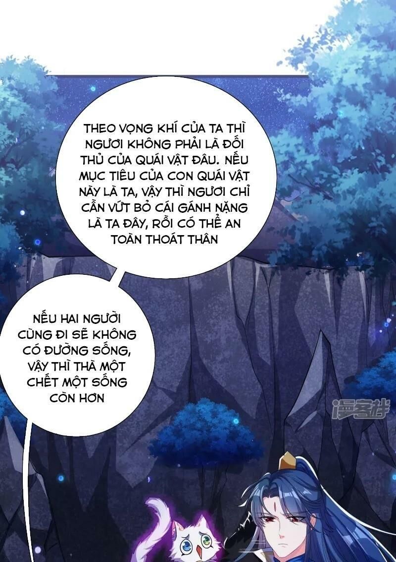 Hài Đế Vi Tôn