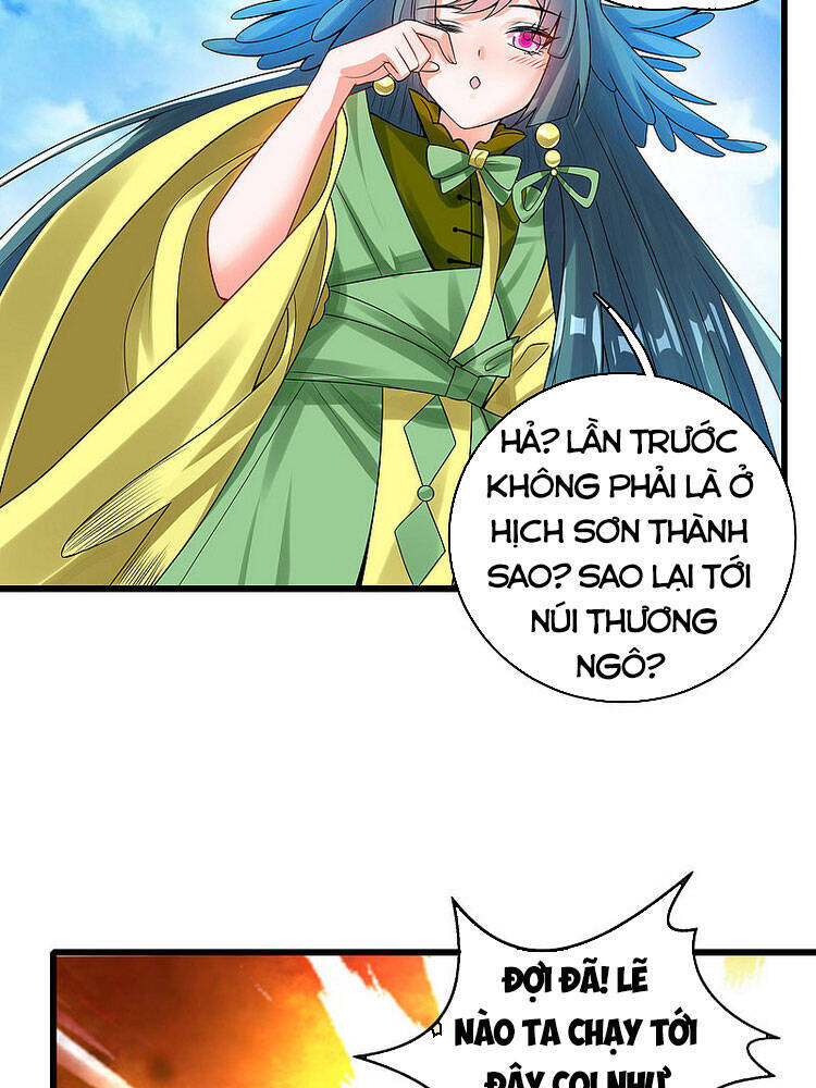 Hài Đế Vi Tôn
