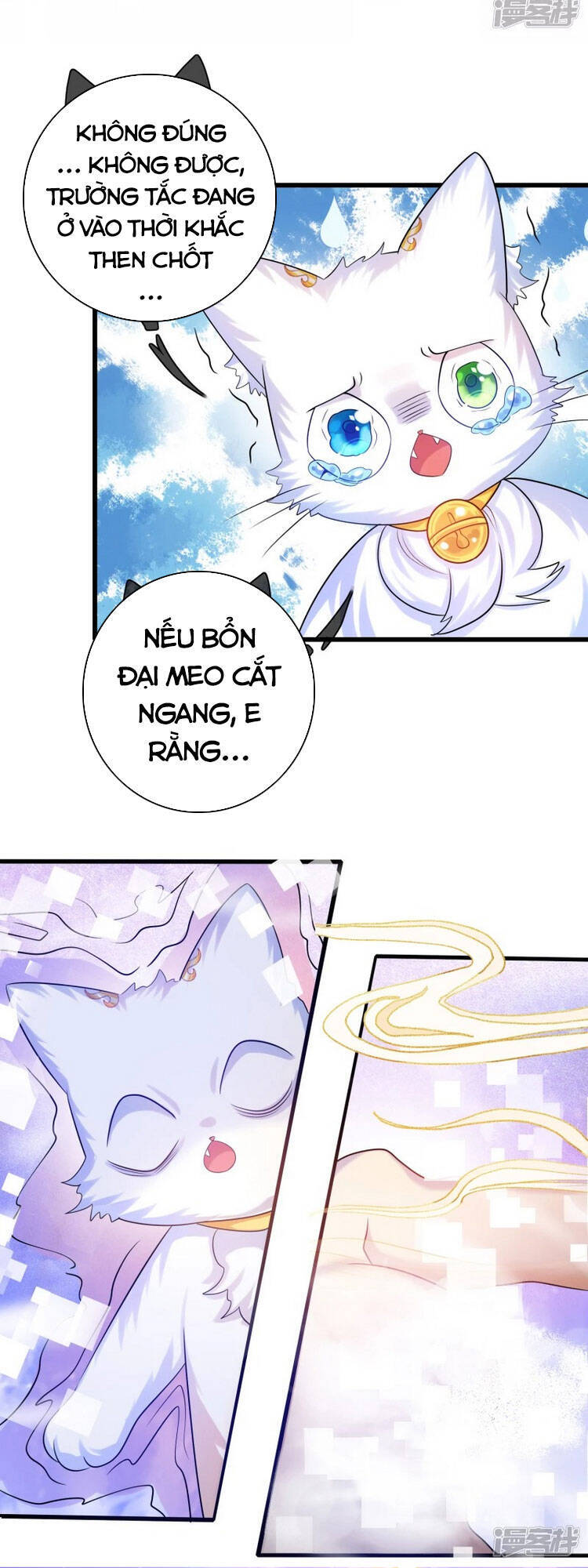Hài Đế Vi Tôn