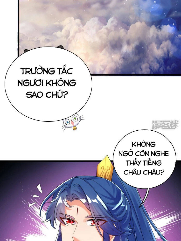 Hài Đế Vi Tôn