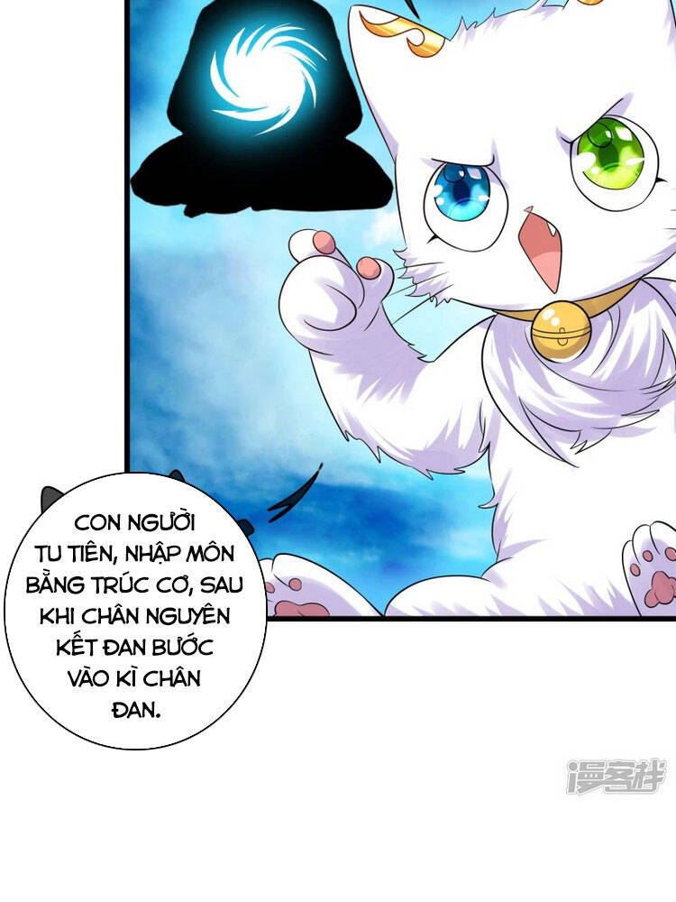 Hài Đế Vi Tôn