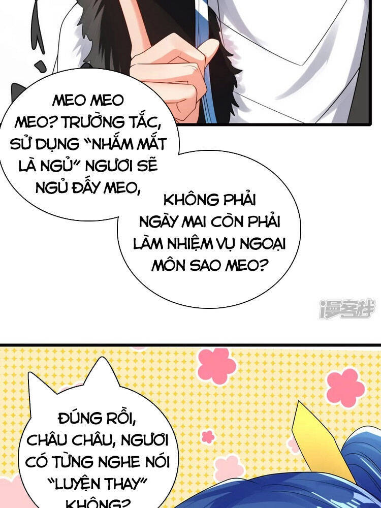 Hài Đế Vi Tôn