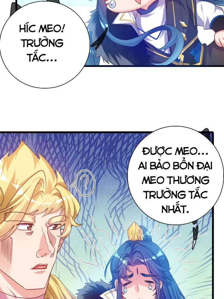 Hài Đế Vi Tôn