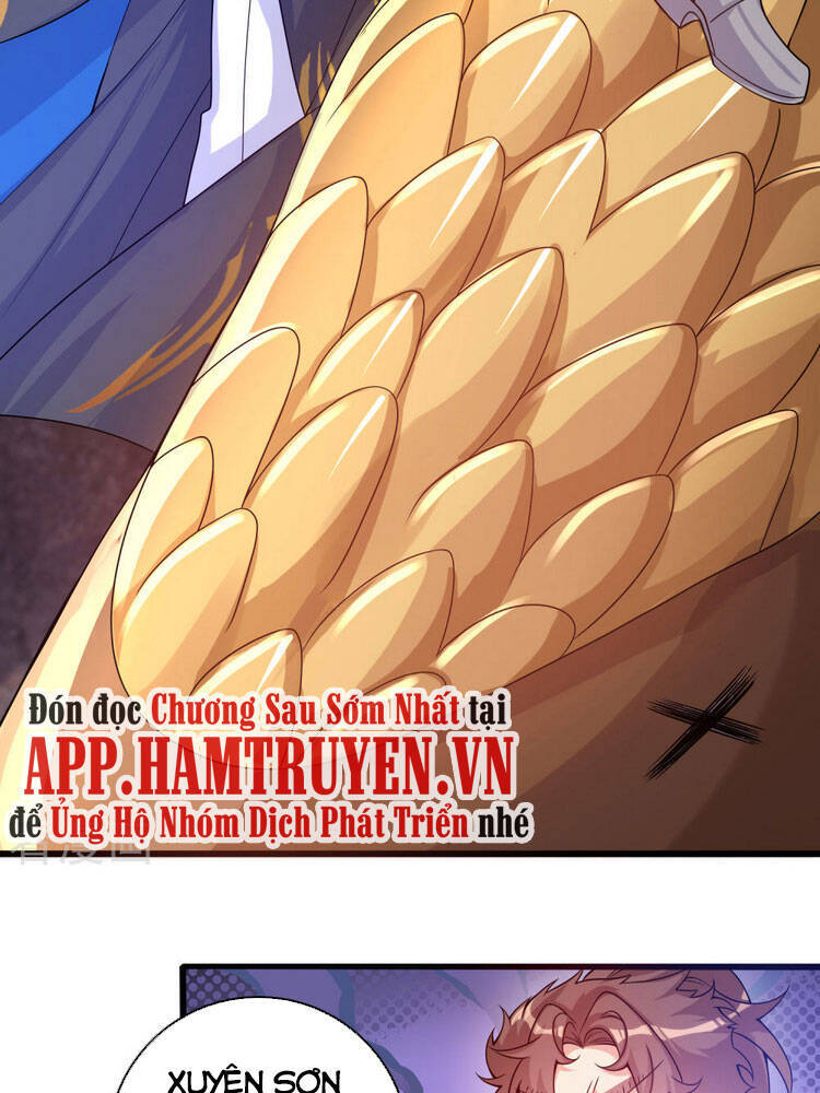 Hài Đế Vi Tôn