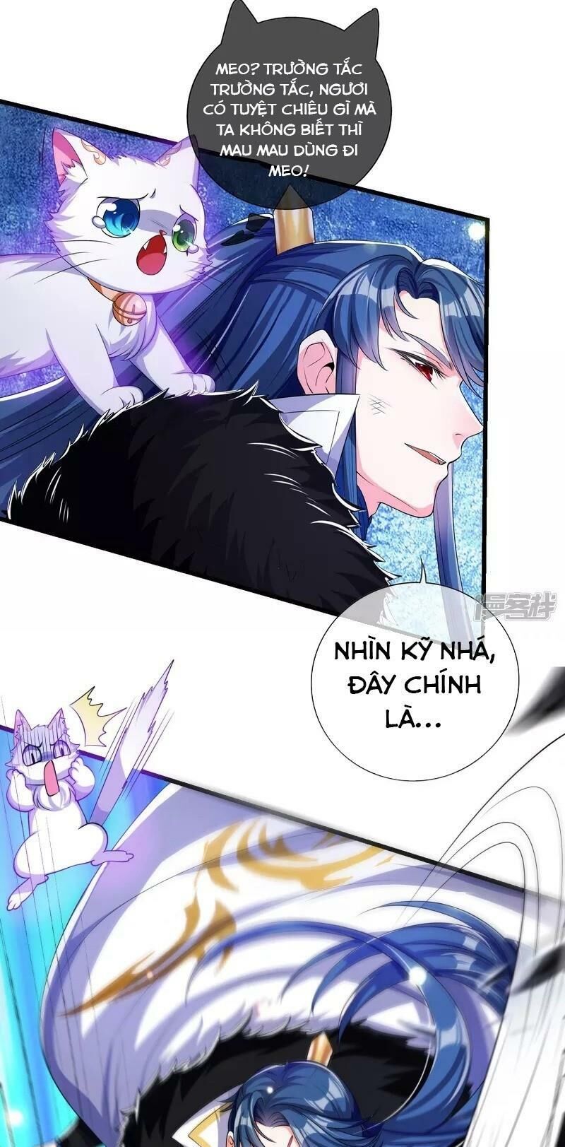 Hài Đế Vi Tôn