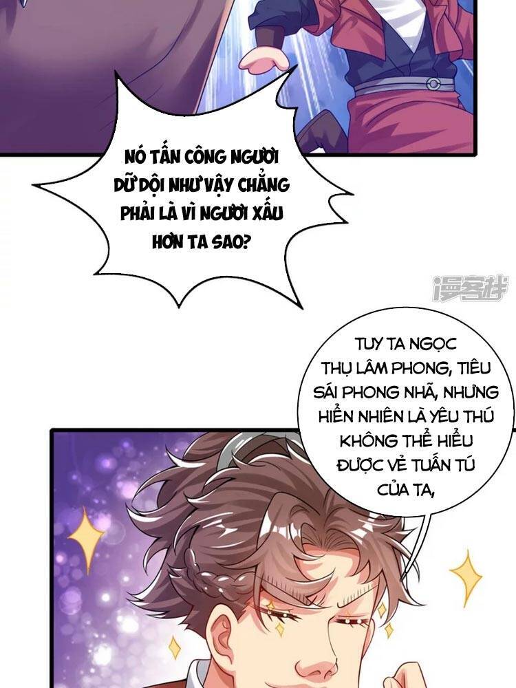 Hài Đế Vi Tôn