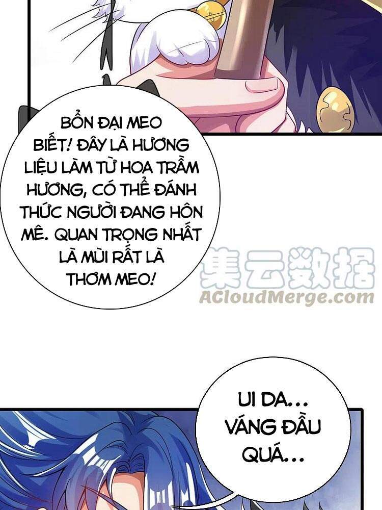 Hài Đế Vi Tôn