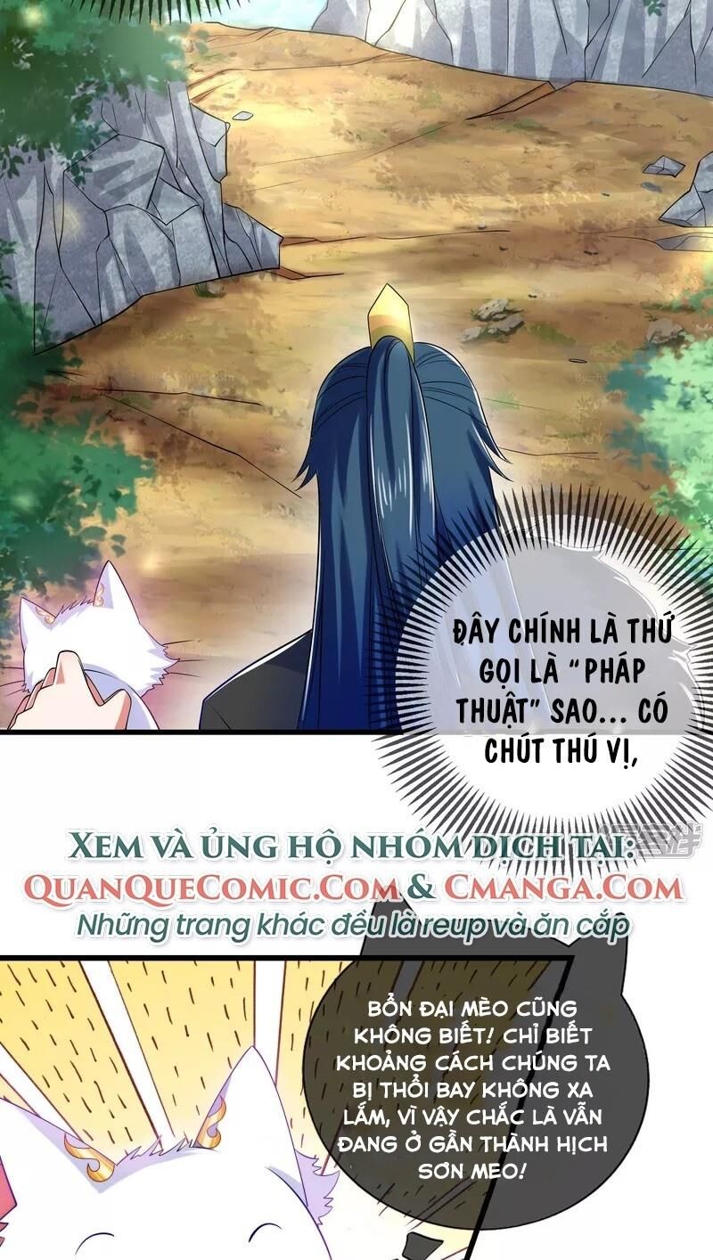 Hài Đế Vi Tôn