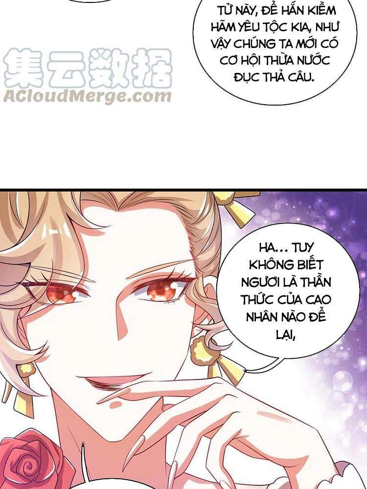 Hài Đế Vi Tôn