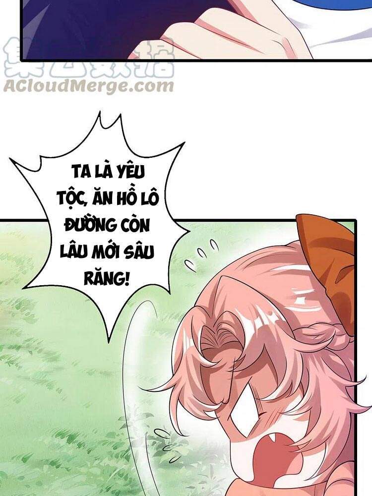 Hài Đế Vi Tôn