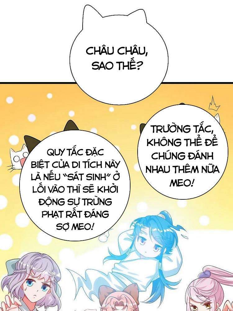 Hài Đế Vi Tôn