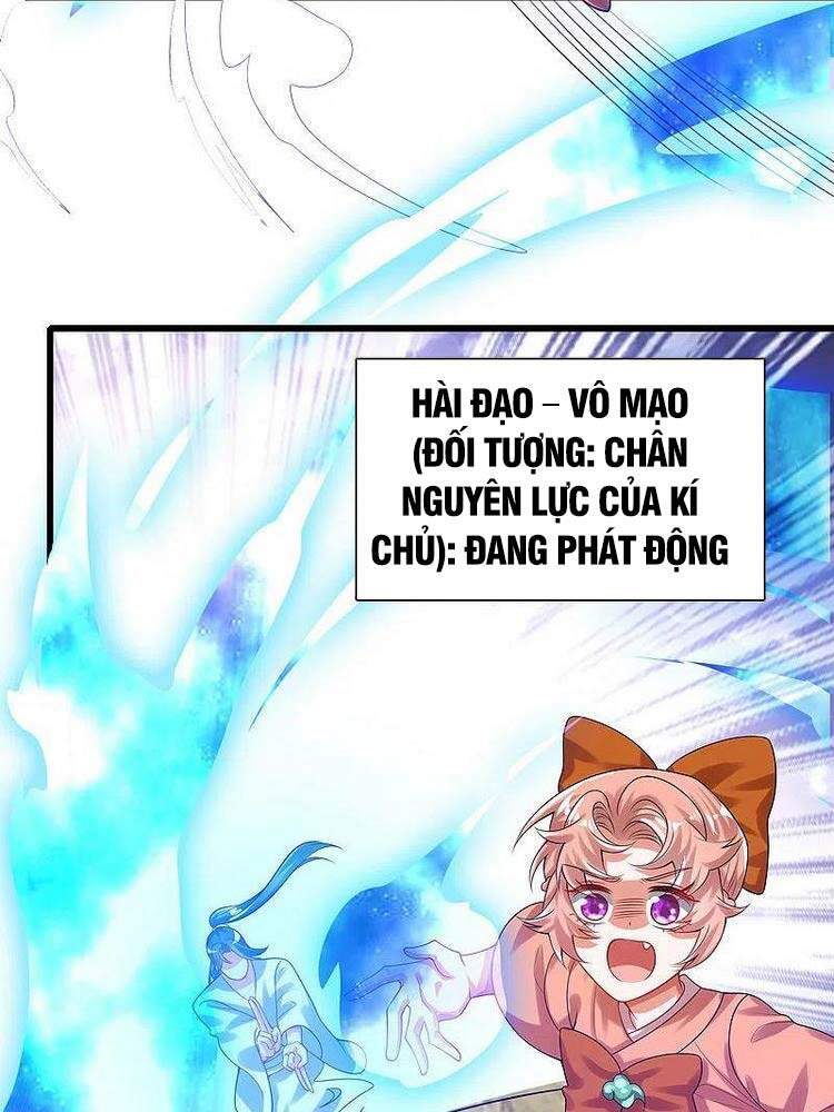 Hài Đế Vi Tôn