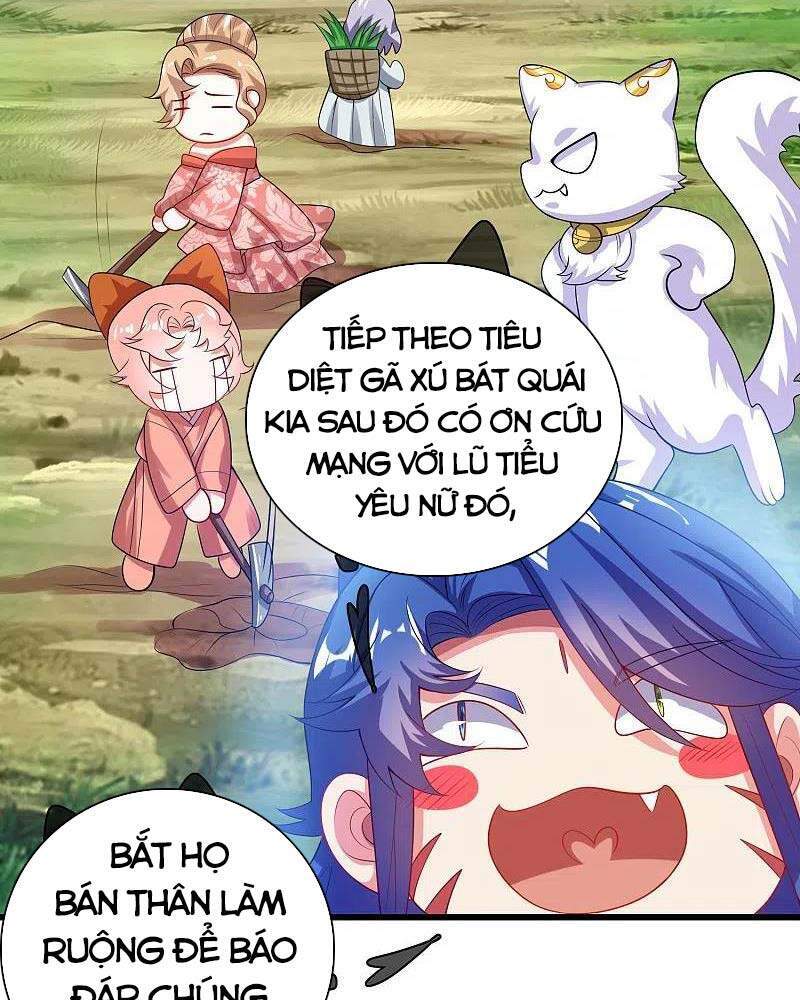 Hài Đế Vi Tôn
