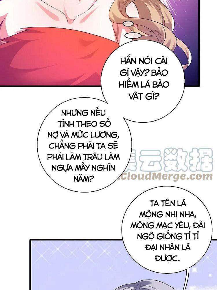 Hài Đế Vi Tôn