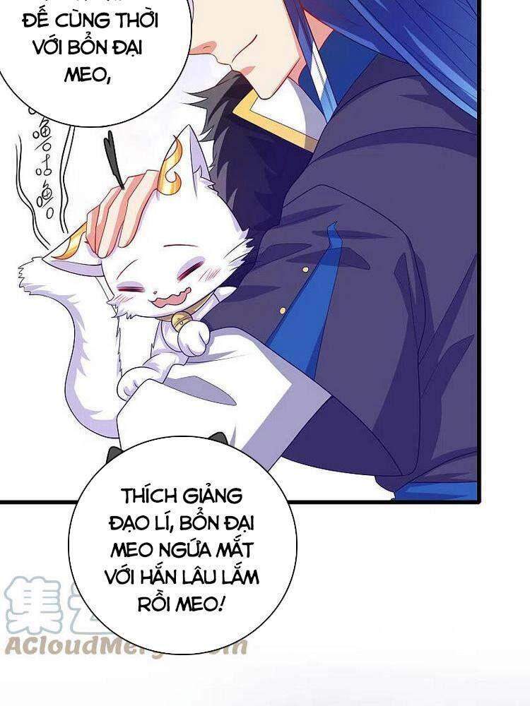 Hài Đế Vi Tôn