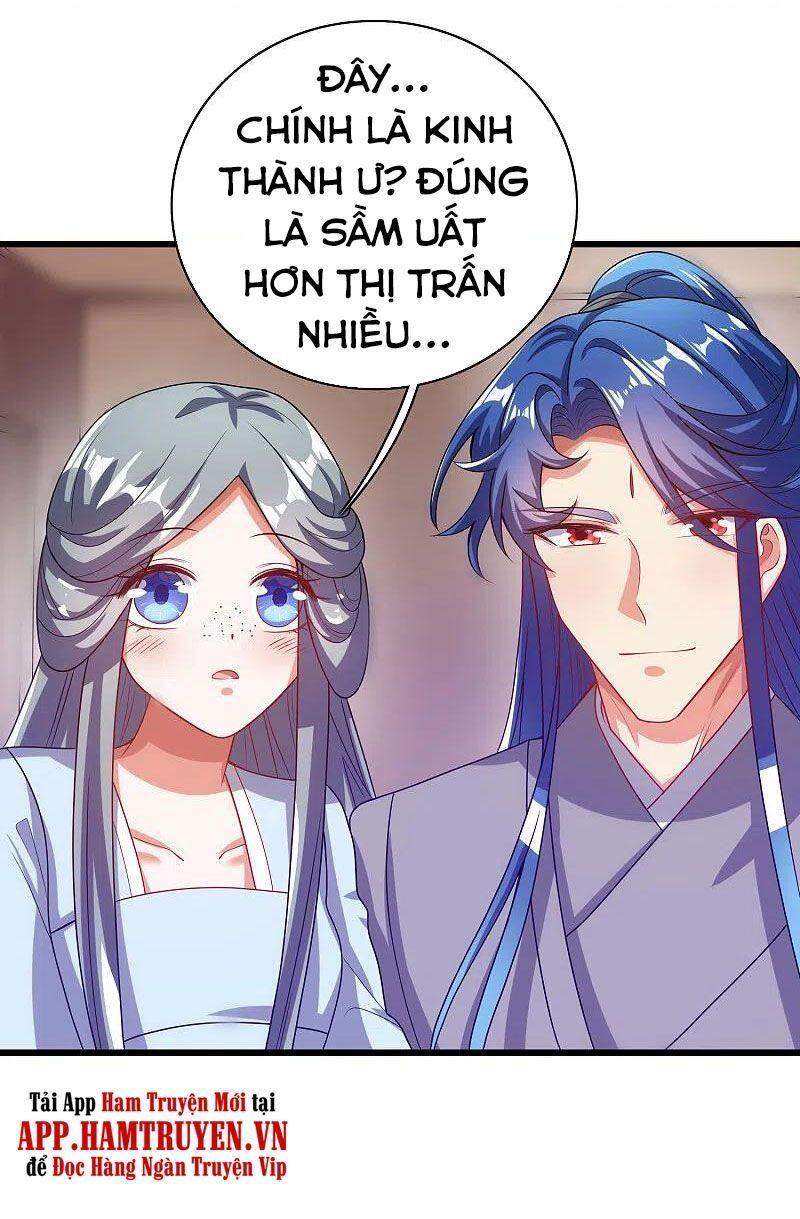 Hài Đế Vi Tôn