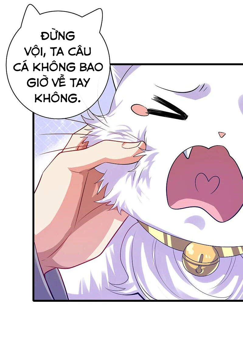 Hài Đế Vi Tôn
