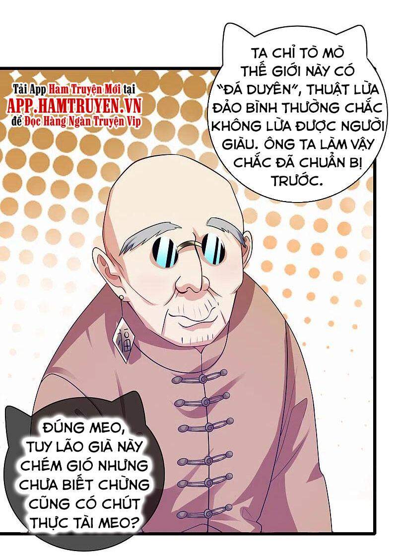 Hài Đế Vi Tôn