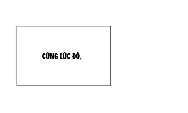 Hài Đế Vi Tôn